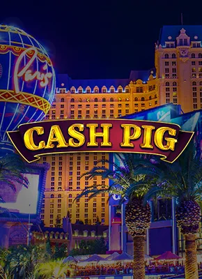 Cash Pig