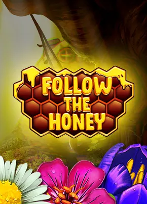 Follow the Honey