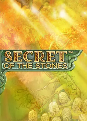 Secret of the Stones